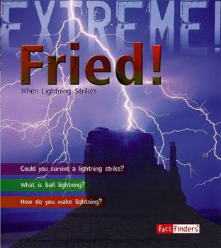 Library Binding Fried!: When Lightning Strikes Book
