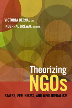 Paperback Theorizing NGOs: States, Feminisms, and Neoliberalism Book