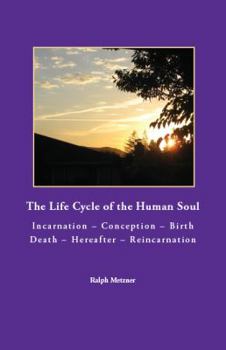 Paperback The Life Cycle of the Human Soul Incarnation - Conception - Birth - Death - Hererafter - Reincarnation Book