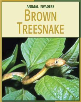 Library Binding Brown Treesnake Book