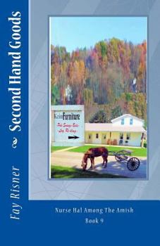 Second Hand Goods: Large Print - Book #9 of the Nurse Hal Among The Amish