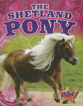 Library Binding The Shetland Pony Book
