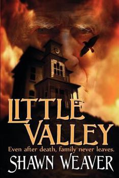 Paperback Little Valley Book