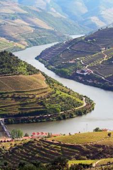 Port Wine Vineyards on Hills and River Douro in Porto Portugal Journal : 150 Page Lined Notebook/diary