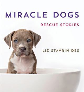 Hardcover Miracle Dogs: Rescue Stories Book