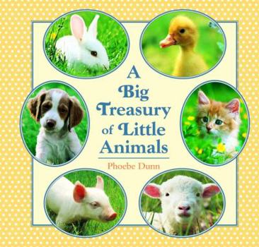 Hardcover Big Treasury of Little Animals Book