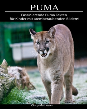 Puma: Faszinierende Puma Fakten f�r Kinder mit atemberaubenden Bildern!