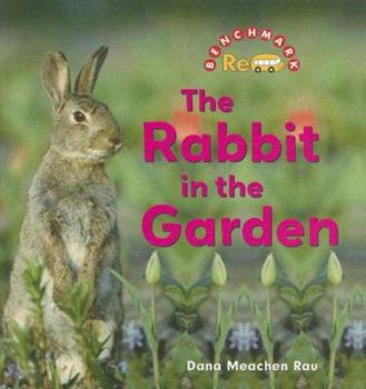 Library Binding The Rabbit in the Garden Book