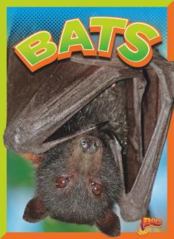 Paperback Bats Book