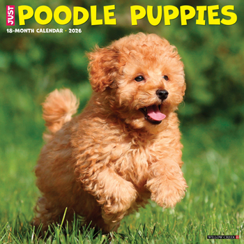 Calendar Poodle Puppies 2026 12 X 12 Wall Calendar Book