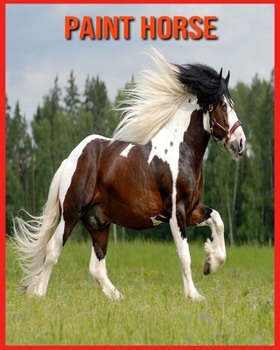 Paperback Paint Horse: Informations Amusantes et Photos Etonnantes d'Animaux dans la Nature [French] Book