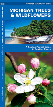 Paperback Michigan Trees & Wildflowers: An Introduction to Familiar Species Book