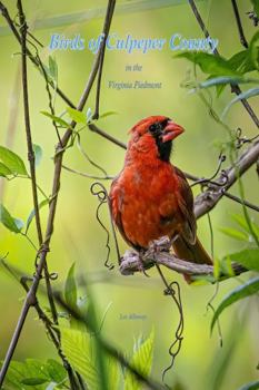 Paperback Birds of Culpeper County: in the Virginia Piedmont Book