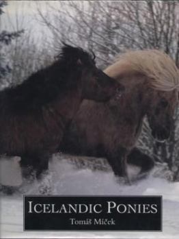 Library Binding Icelandic Ponies Book