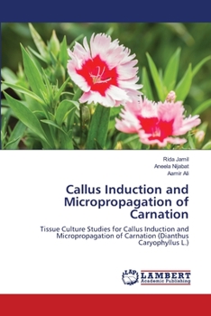 Paperback Callus Induction and Micropropagation of Carnation Book