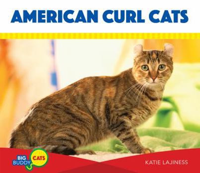 Library Binding American Curl Cats Book