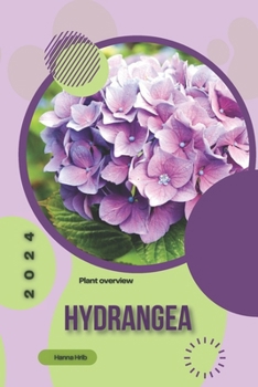 Hydrangea: Simply beginners guide
