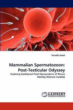 Paperback Mammalian Spermatozoon: Post-Testicular Odyssey Book