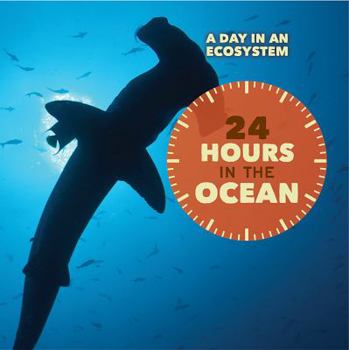 Library Binding 24 Hours in the Ocean Book
