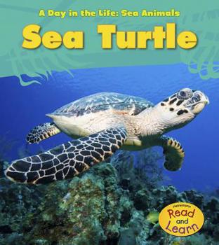 Sea Turtle - Book  of the A Day In The Life