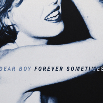 Vinyl Forever Sometimes Book