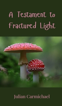 Hardcover A Testament to Fractured Light Book