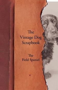 Paperback The Vintage Dog Scrapbook - The Field Spaniel Book