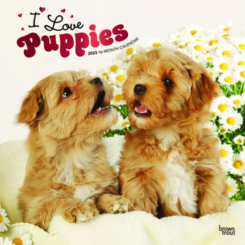 Calendar Puppies, I Love 2023 Square Foil Book
