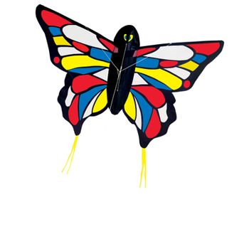 Misc. Beautiful Butterfly Kite Book
