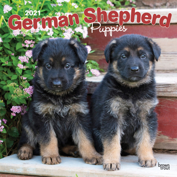 Calendar German Shepherd Puppies 2021 Square Book