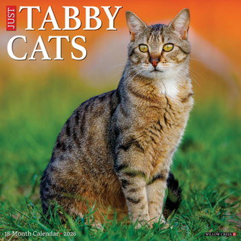 Calendar Tabby Cats 2026 Wall Calendar Book