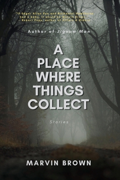 Paperback A Place Where Things Collect Book