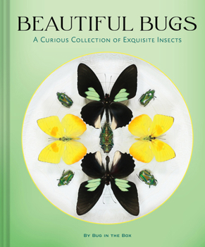 Hardcover Beautiful Bugs: A Curious Collection of Exquisite Insects Book
