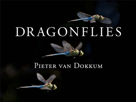 Hardcover Dragonflies: Magnificent Creatures of Water, Air, and Land Book