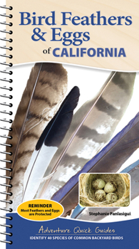 Spiral-bound Bird Feathers & Eggs of California: Identify 40 Species of Common Backyard Birds Book