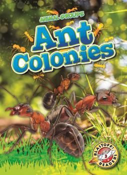 Hardcover Ant Colonies (Animal Groups) Book