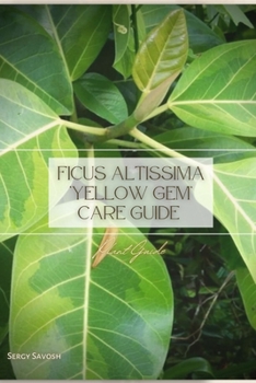 Paperback Ficus altissima 'Yellow Gem' Care Guide: Plant Guide Book