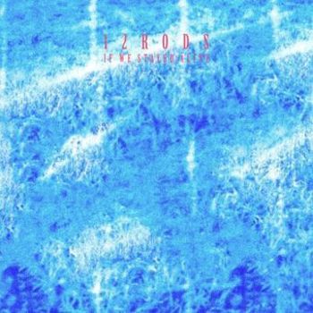 Vinyl If We Stayed Alive Book