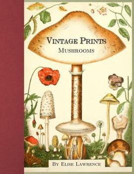 Vintage Prints: Mushrooms