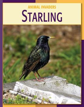 Starling (21st Century Skills Library: Animal Invaders) - Book  of the Animal Invaders