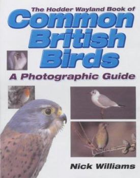 Paperback Wayland Book of Common British Birds Book