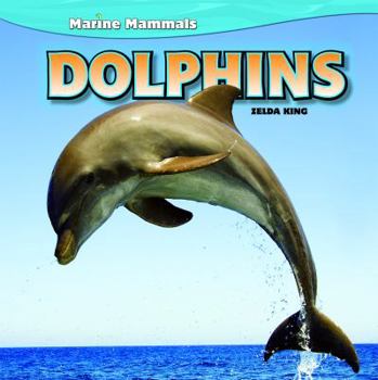 Paperback Dolphins Book