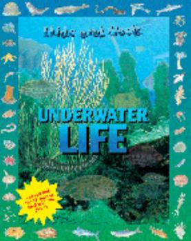 Hardcover Hide and Seek - Underwater Life Book