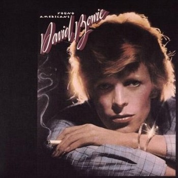 Vinyl Young Americans Book