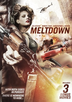 DVD Meltdown Book