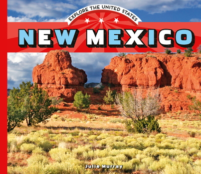 Library Binding New Mexico Book