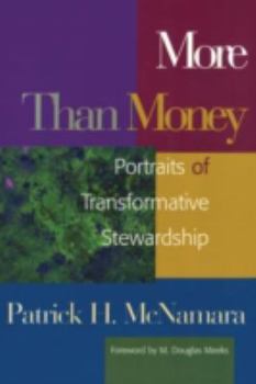 Paperback More Than Money: Portraits of Transformative Stewardship Book