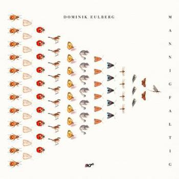 Vinyl Mannigfaltig Book