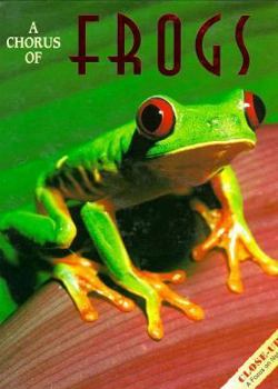 Hardcover A Chorus of Frogs Book