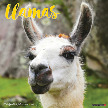 Llamas 2023 Wall Calendar